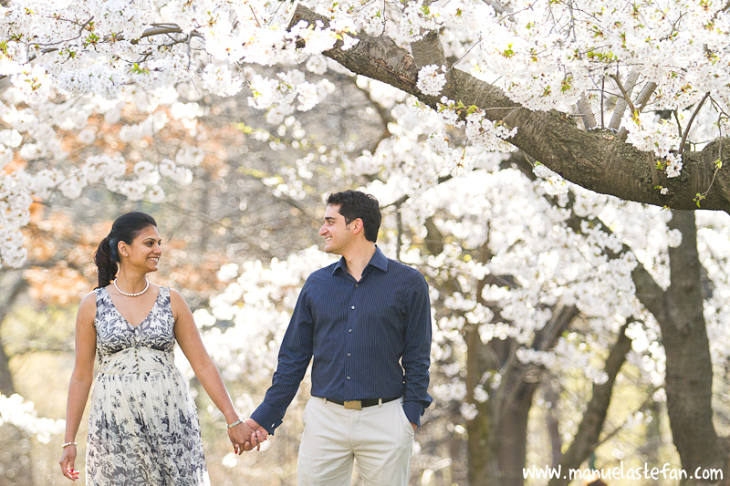 Cherry blossoms engagement photos 01