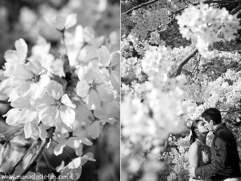 Cherry blossoms engagement photos 02