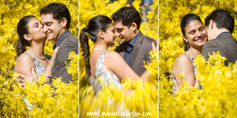 High Park engagement photos 02