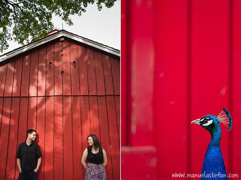 Toronto Central Island engagement photos 01