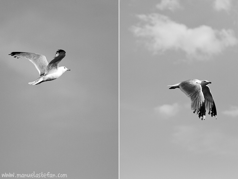 Toronto Harbourfront photos 05