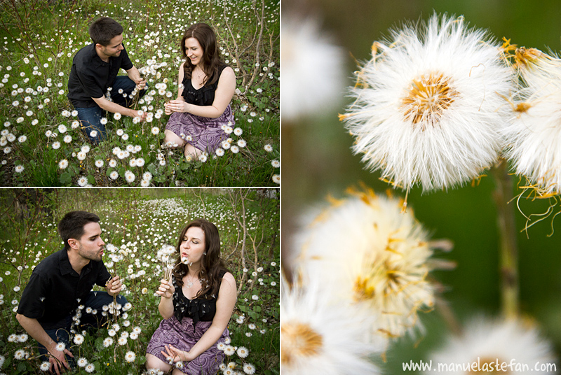 Toronto island engagement photos 02