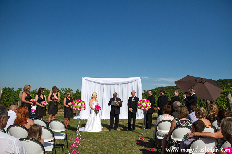 Cave Springs wedding ceremony 01