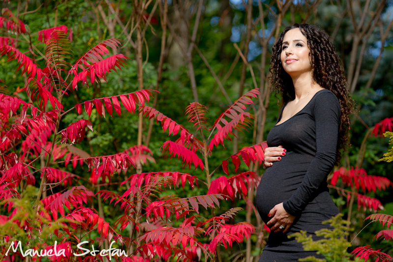 Toronto pregnancy photographer