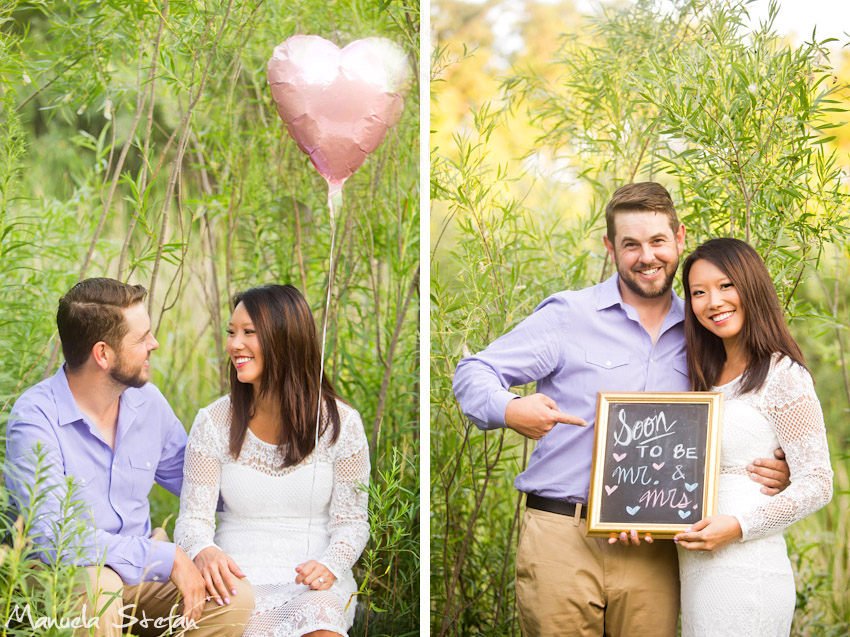 Engagement photographers Toronto