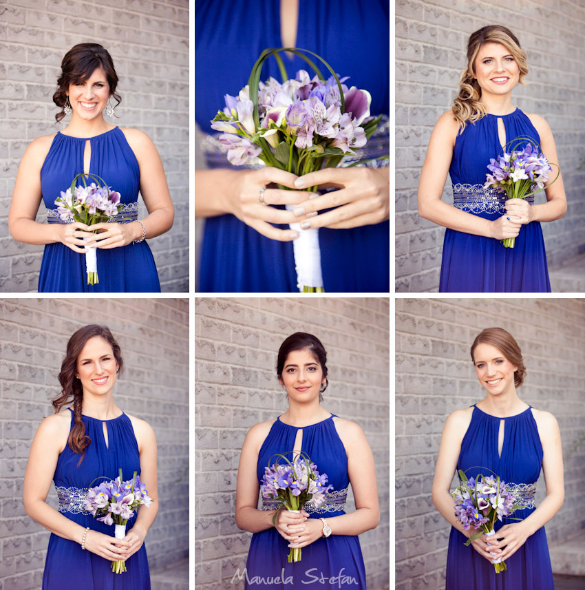 Beautiful bridesmaids portrait