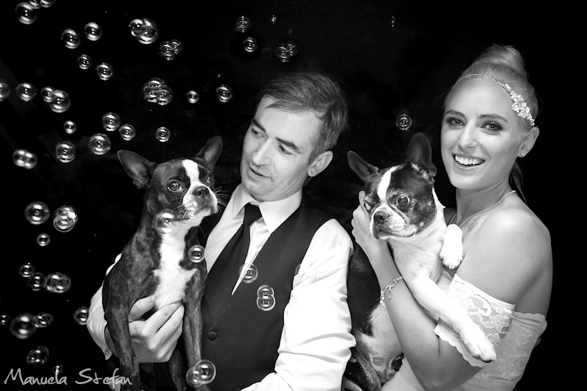 Bride groom and pugs