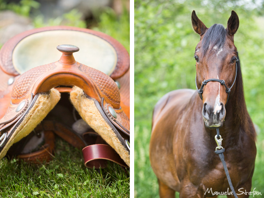 Horseback wedding Pine Brook Farm