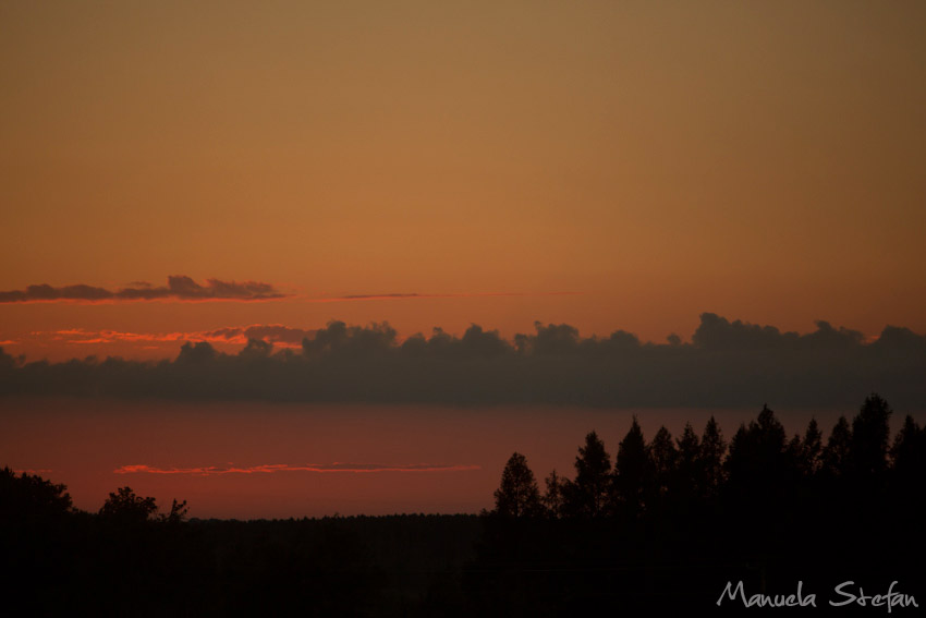 Pine Brook Farm sunset