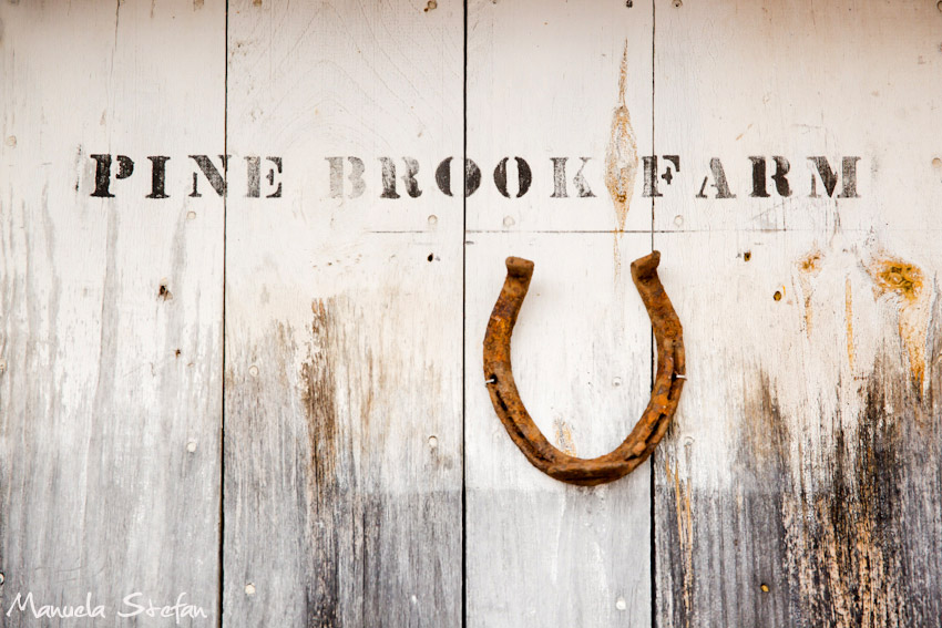 Pine Brook Farm wedding photographer