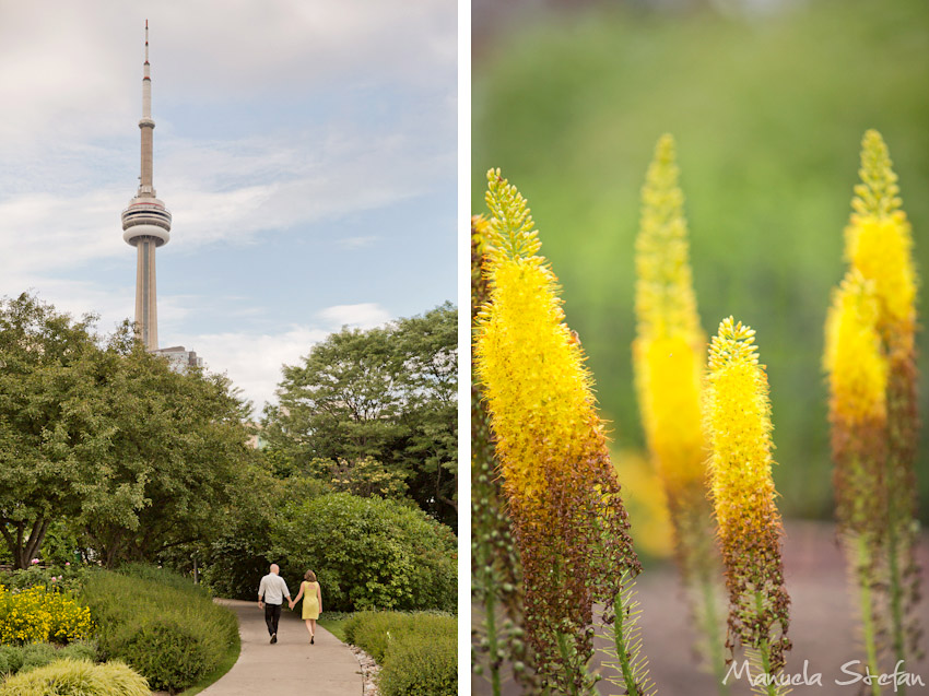 Wedding photographer Toronto