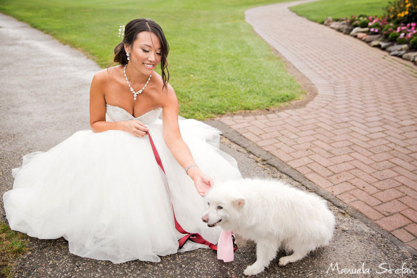 bride-and-dog-portraits