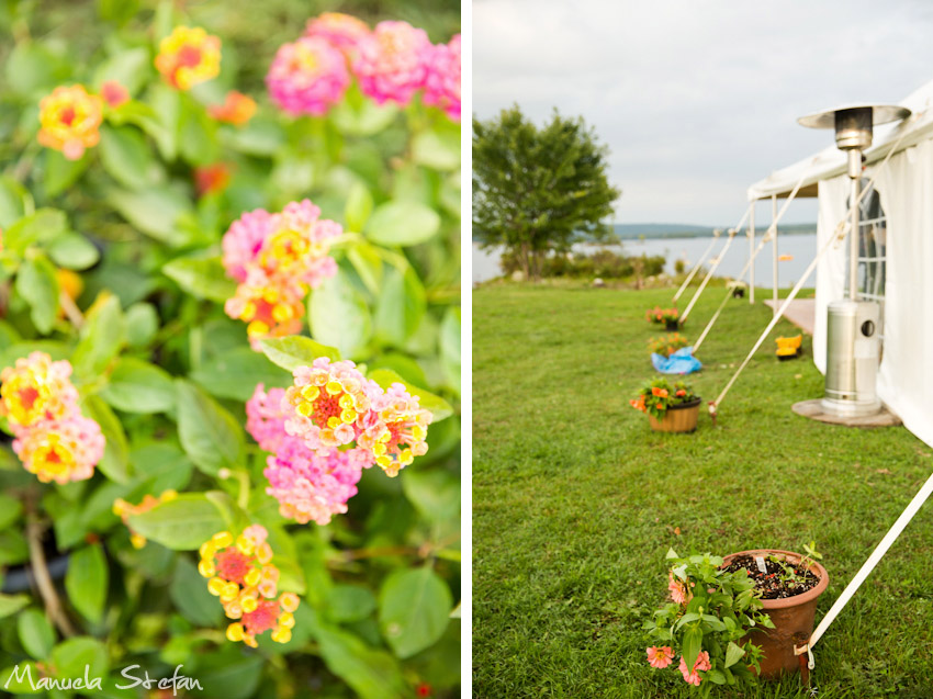 farm-wedding-in-foresters-falls