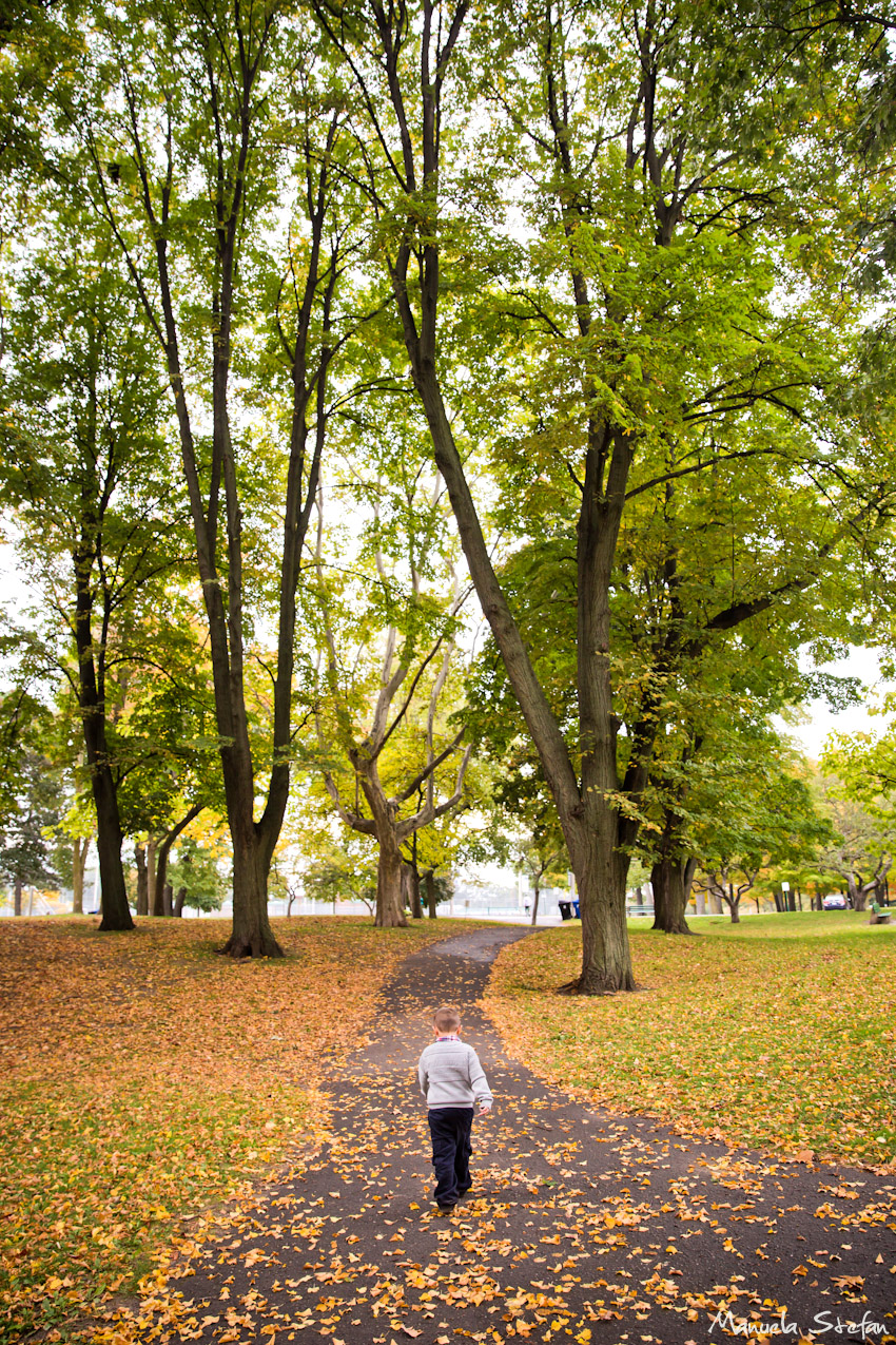 little-boy-portraits-toronto