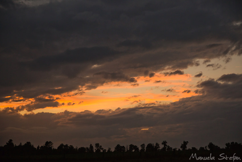 ontario-farm-wedding-photographers