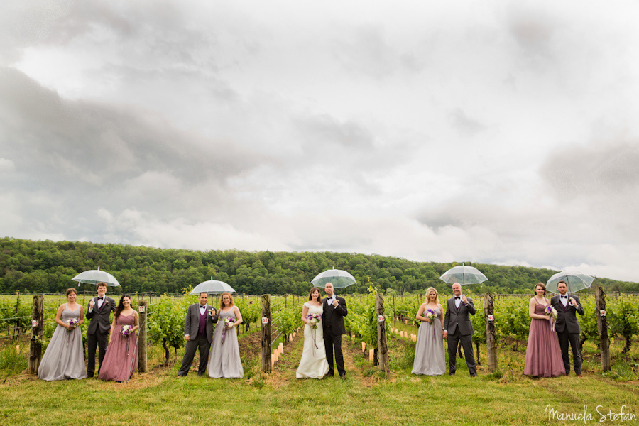 Wedding party at the Cave Spring Vineyard