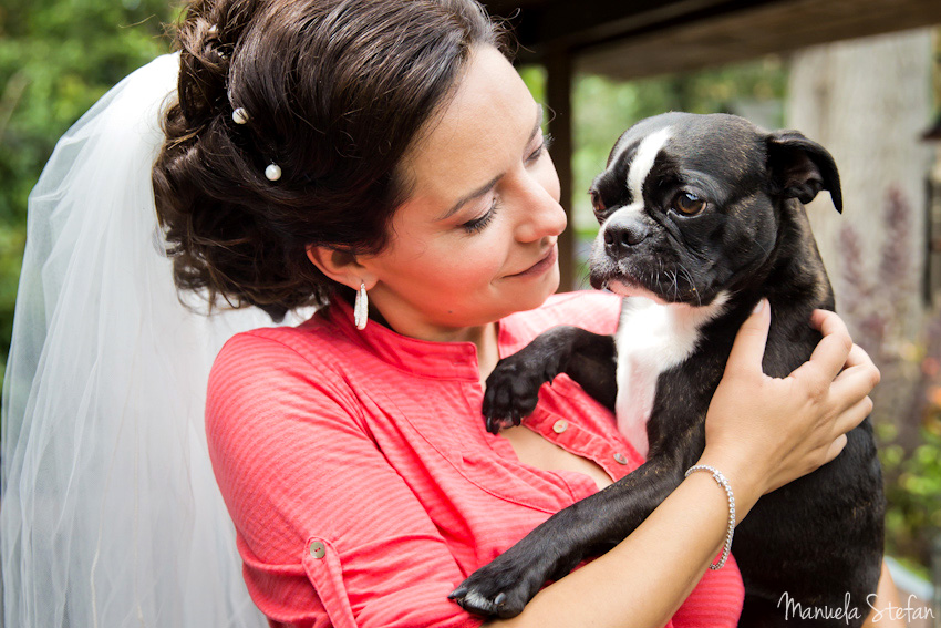 Bride and Boston Terrier