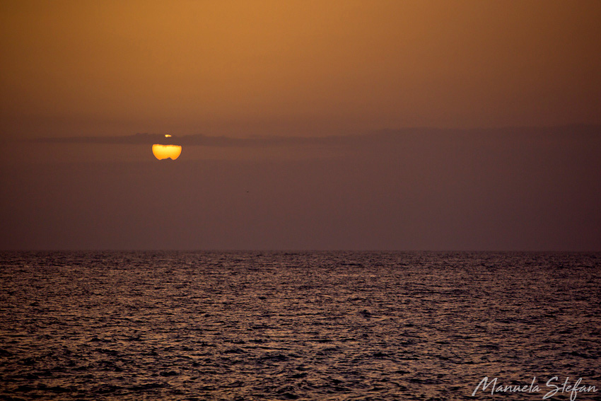 Borghinvilla Jamaica sunset