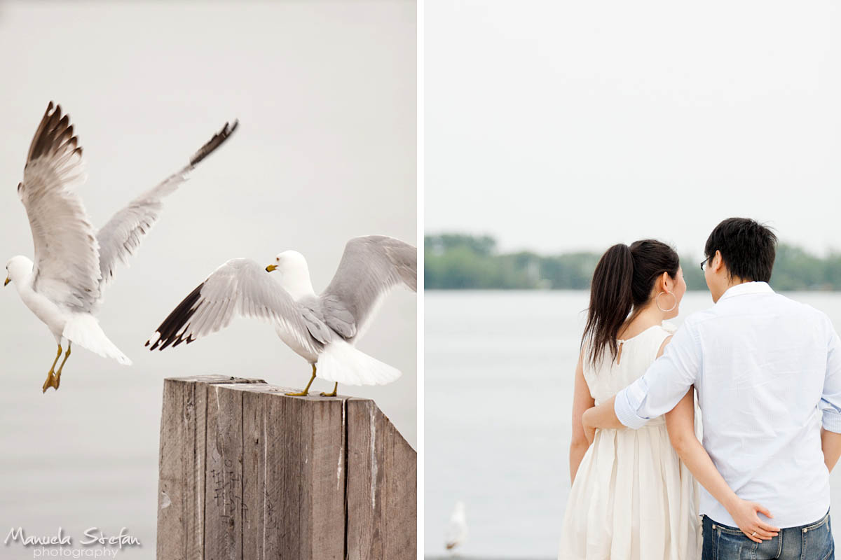 Toronto Harbourfront engagement photos